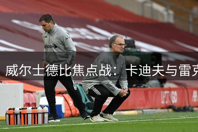 威尔士德比焦点战：卡迪夫与雷克瑟姆正面交锋